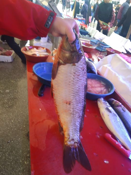 Fotoğraf 13