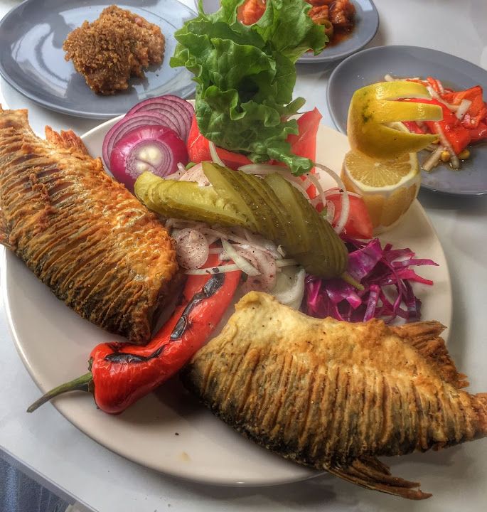 Fotoğraf 16