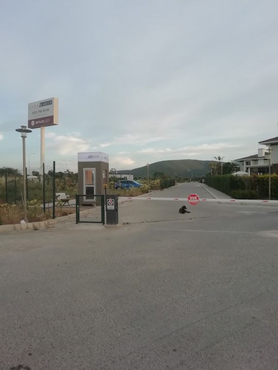 Yorum fotoğrafı 3