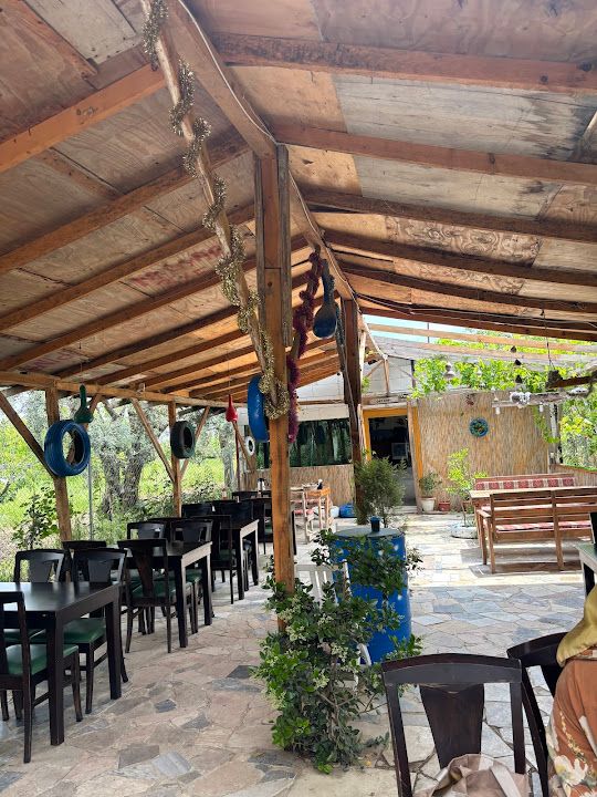 Fotoğraf 20