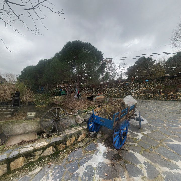 Fotoğraf 9