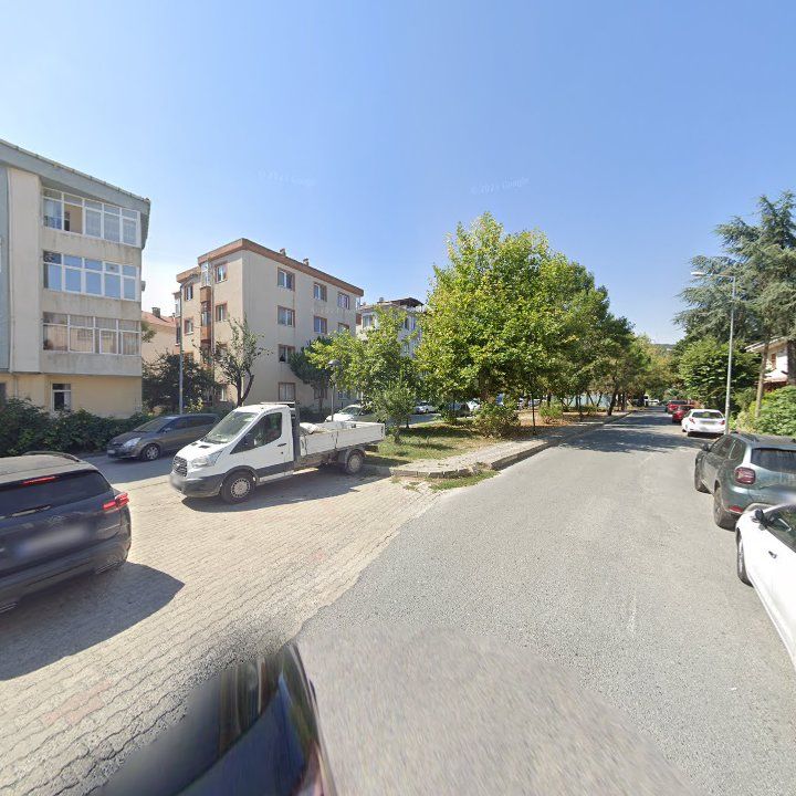 Fotoğraf 8