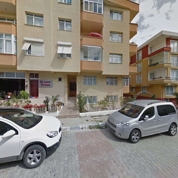 Fotoğraf 8