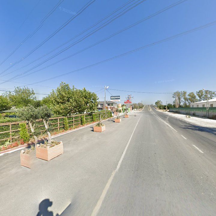 Fotoğraf 8