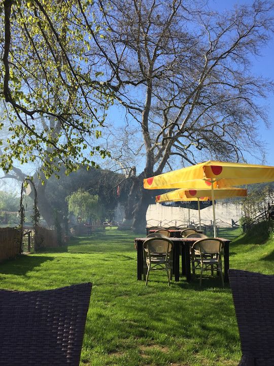 Çatalca Tarihi Çınaraltı Kahvaltı & Mangal - Piknik Alanı & Restaurant
