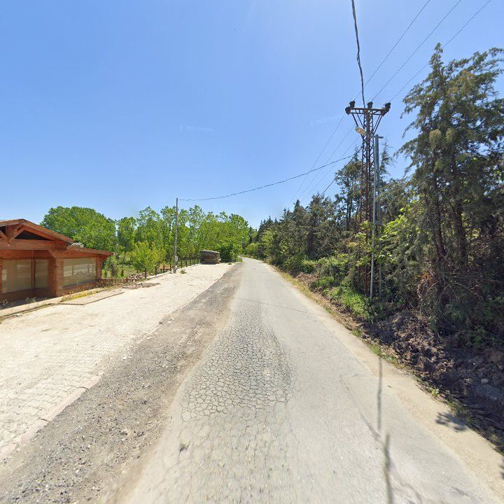 Fotoğraf 9