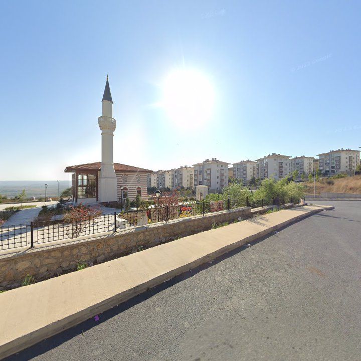 Fotoğraf 8