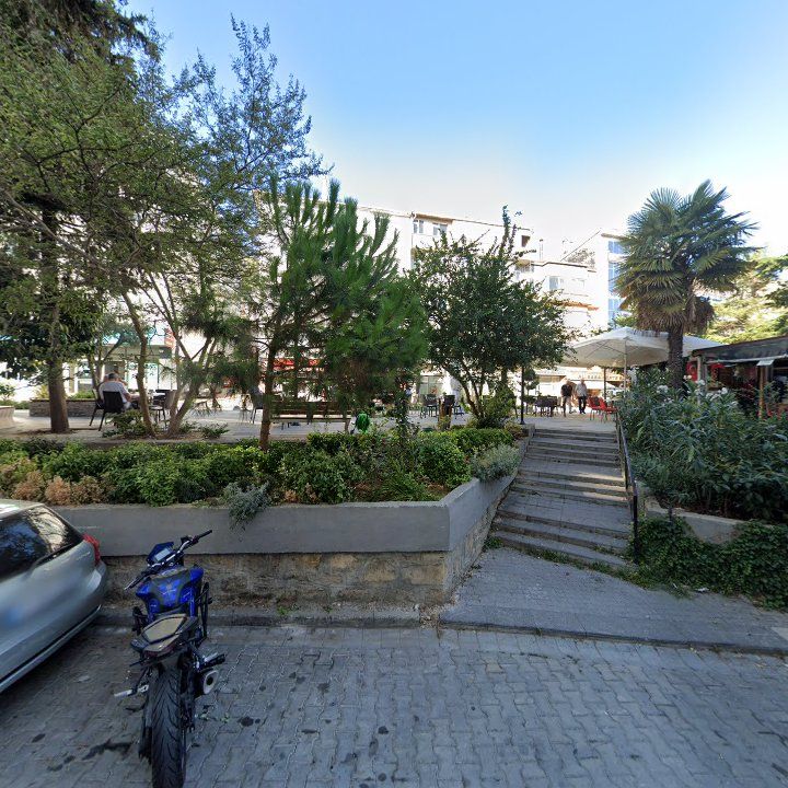 Fotoğraf 9