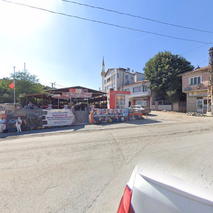 Fotoğraf 9