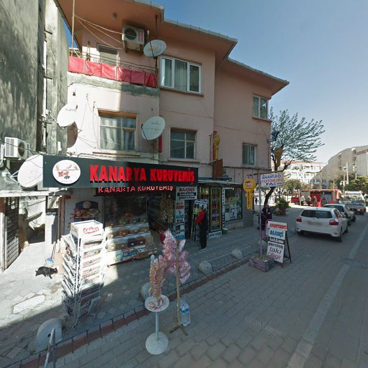 Fotoğraf 8