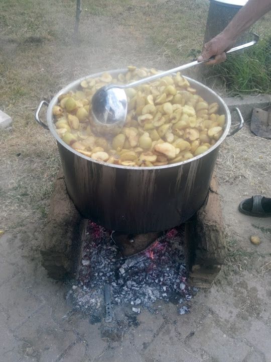 Fotoğraf 44
