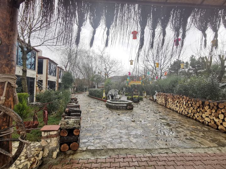 Fotoğraf 23