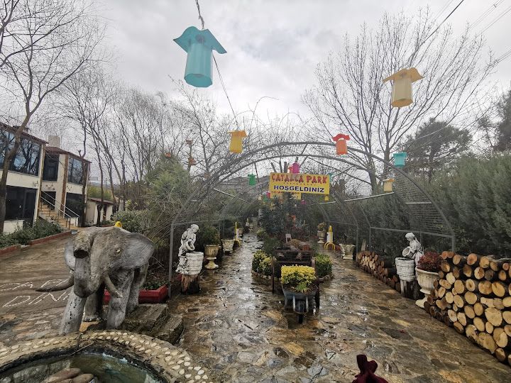 Fotoğraf 24