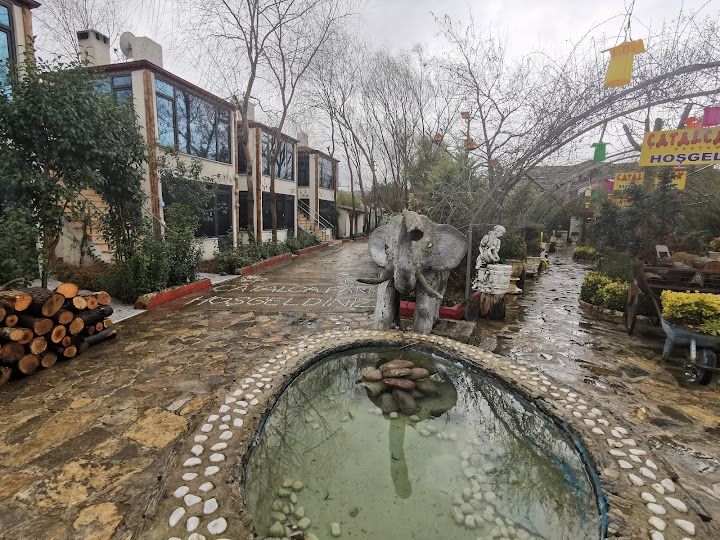 Fotoğraf 22