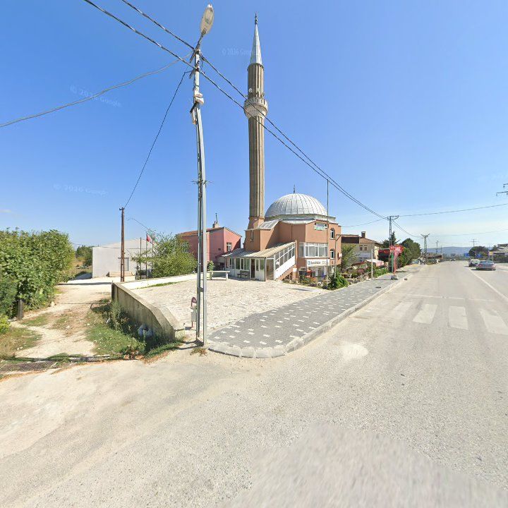 Fotoğraf 10