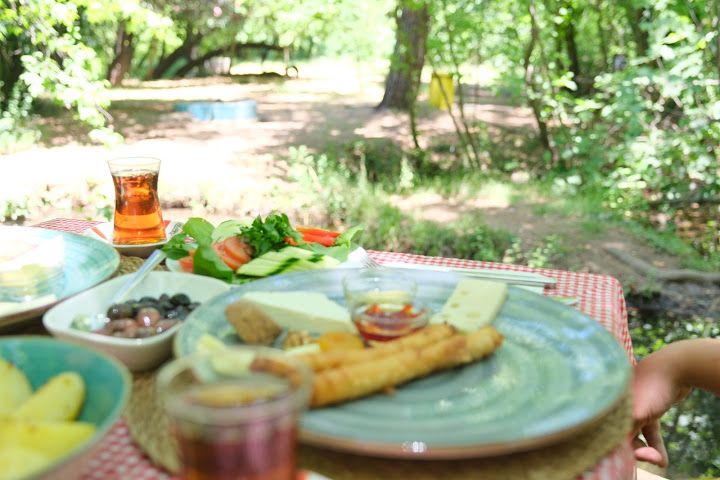 Fotoğraf 12