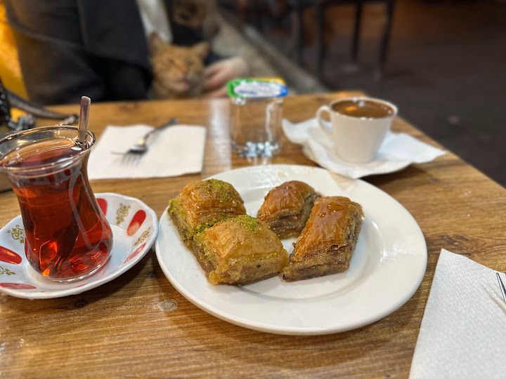 Fotoğraf 13