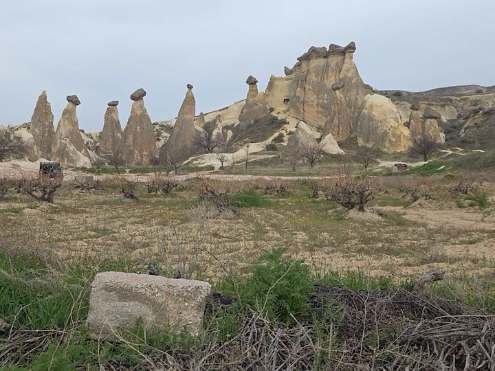 Fotoğraf 18
