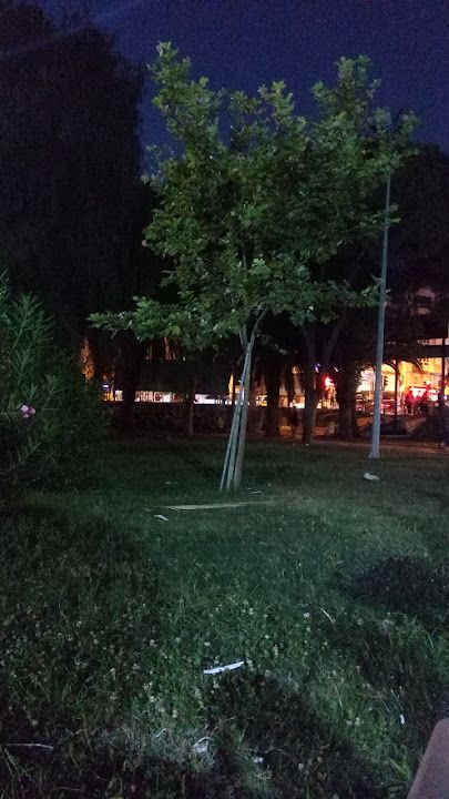 Fotoğraf 7