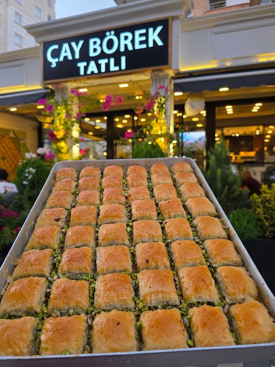 Fotoğraf 16