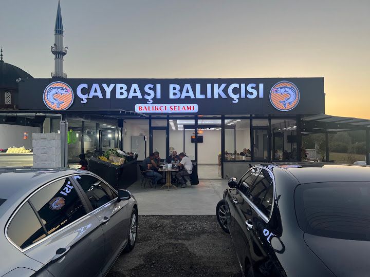 Fotoğraf 17