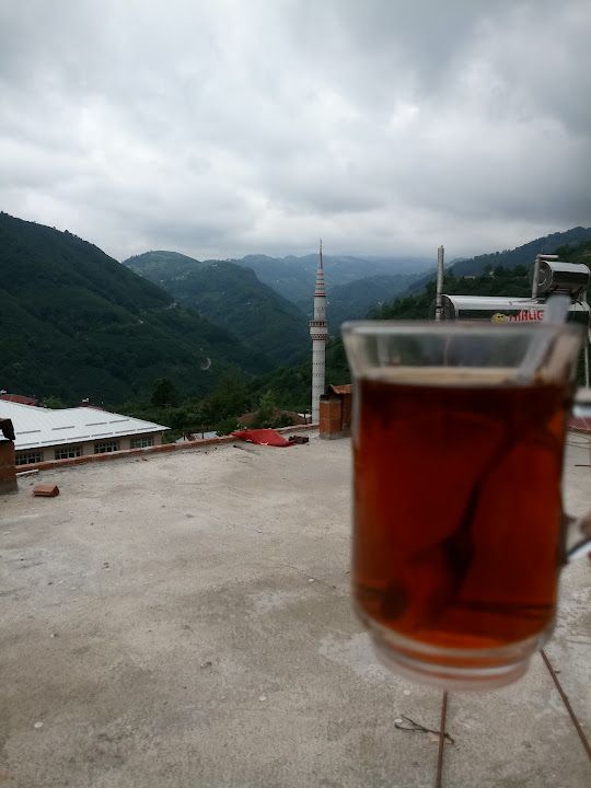 Hacı Davut