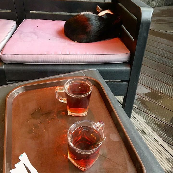 Fotoğraf 12