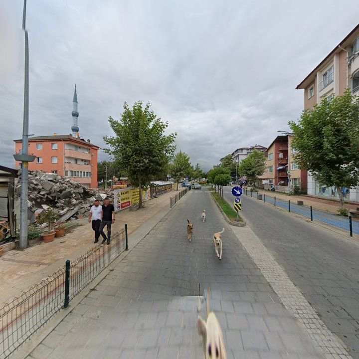 Fotoğraf 3