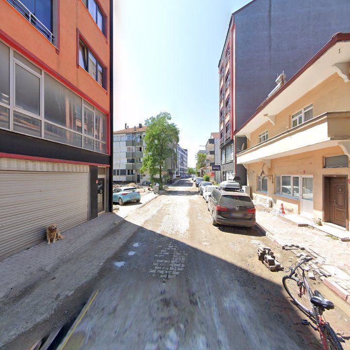 Fotoğraf 4