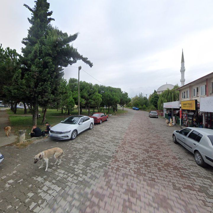 Fotoğraf 5