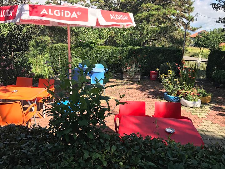 Koca meşe çay bahçesi
