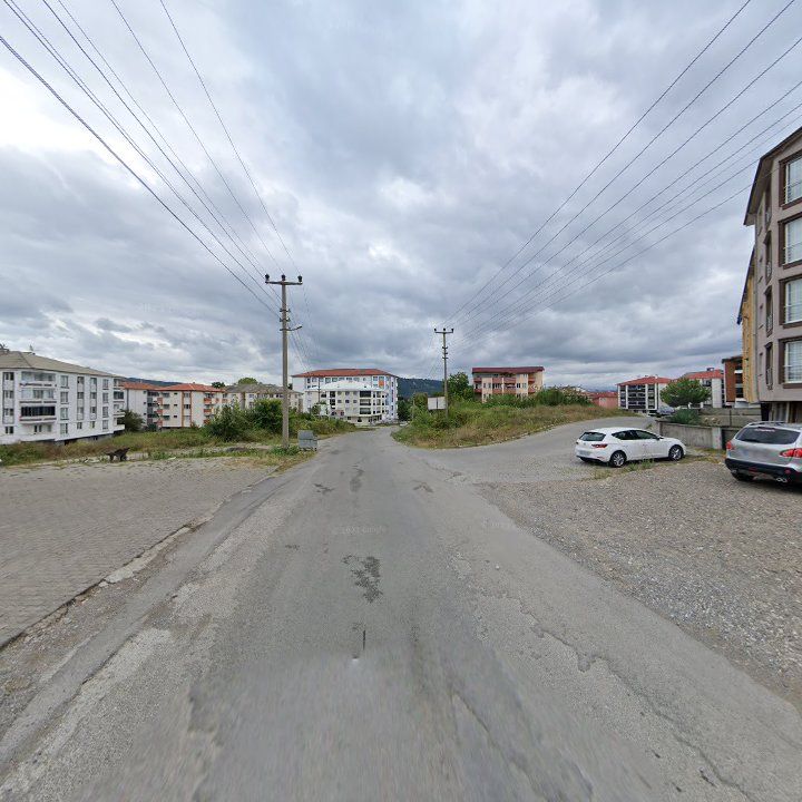 Fotoğraf 3