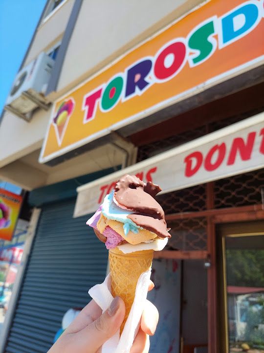 Toros Donourma