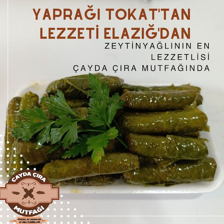Fotoğraf 12