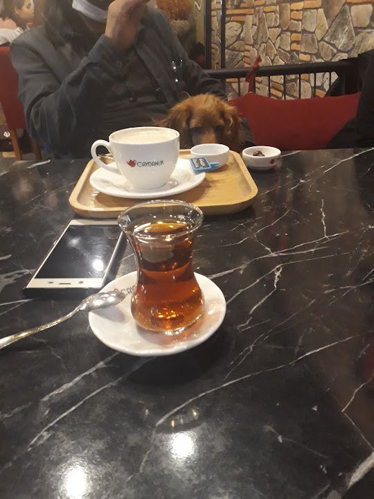 Fotoğraf 17