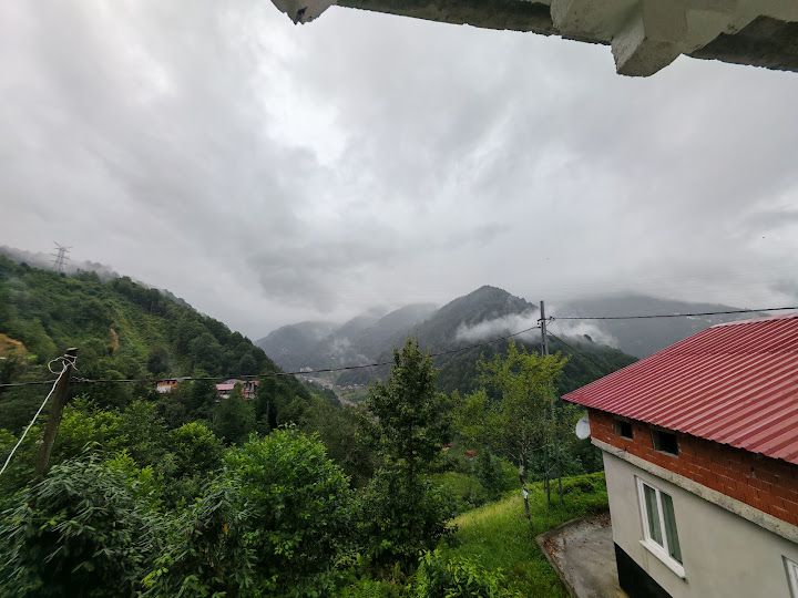 Rize Çayeli