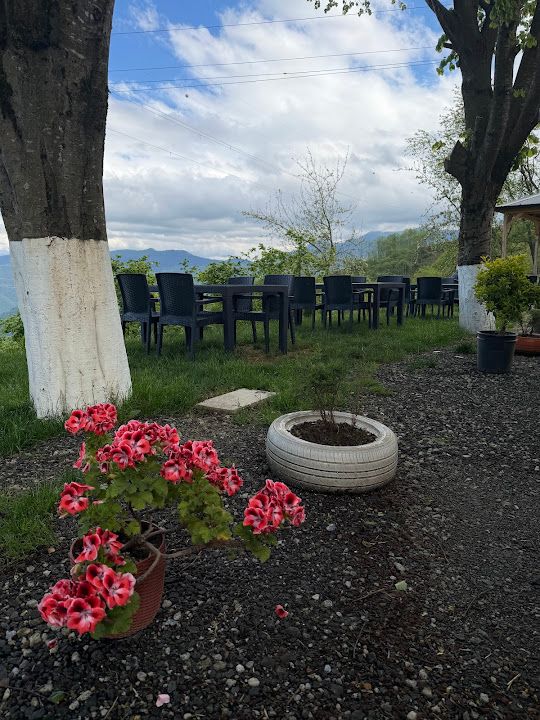 Yorum fotoğrafı 4