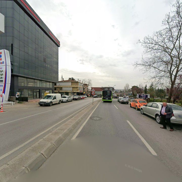 Fotoğraf 10