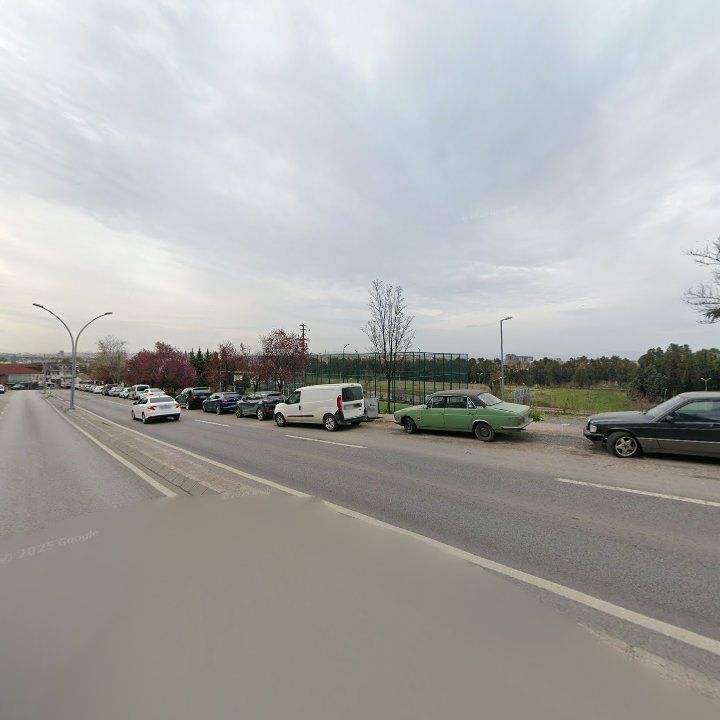 Fotoğraf 5