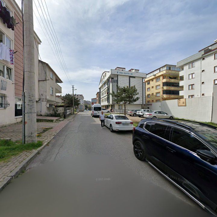 Fotoğraf 8