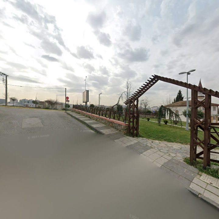 Fotoğraf 10