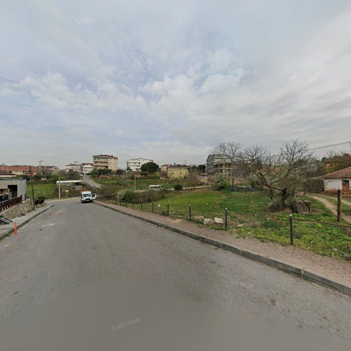 Fotoğraf 8