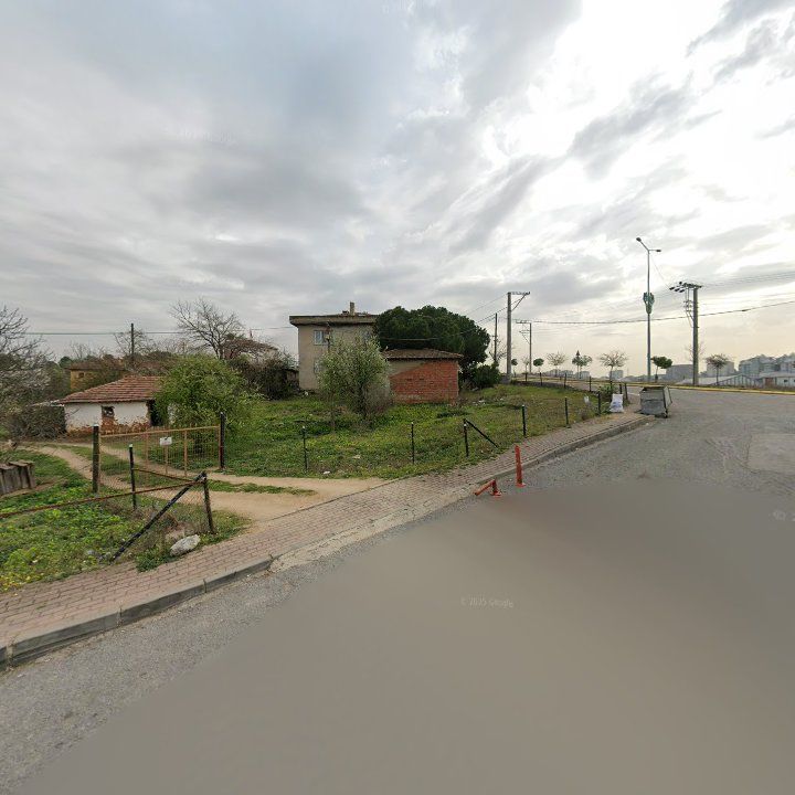 Fotoğraf 9