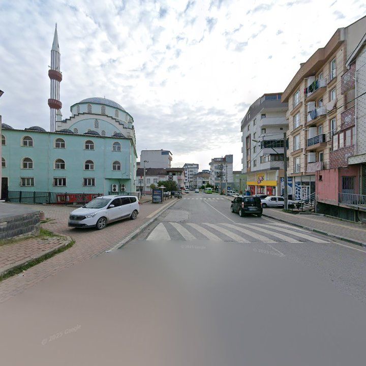 Fotoğraf 7