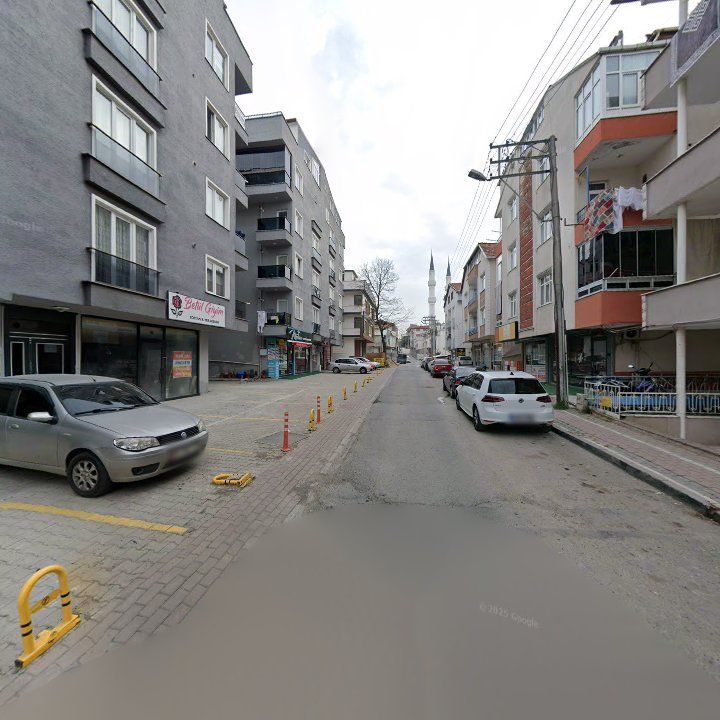 Fotoğraf 8