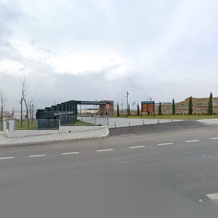 Fotoğraf 5