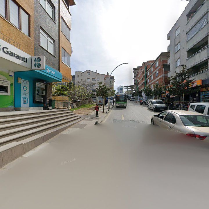 Fotoğraf 11