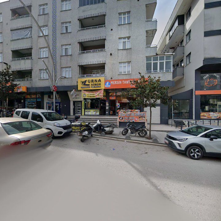 Fotoğraf 8