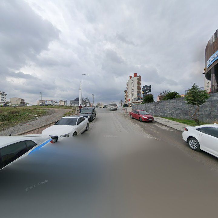 Fotoğraf 10
