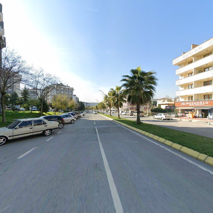 Fotoğraf 11